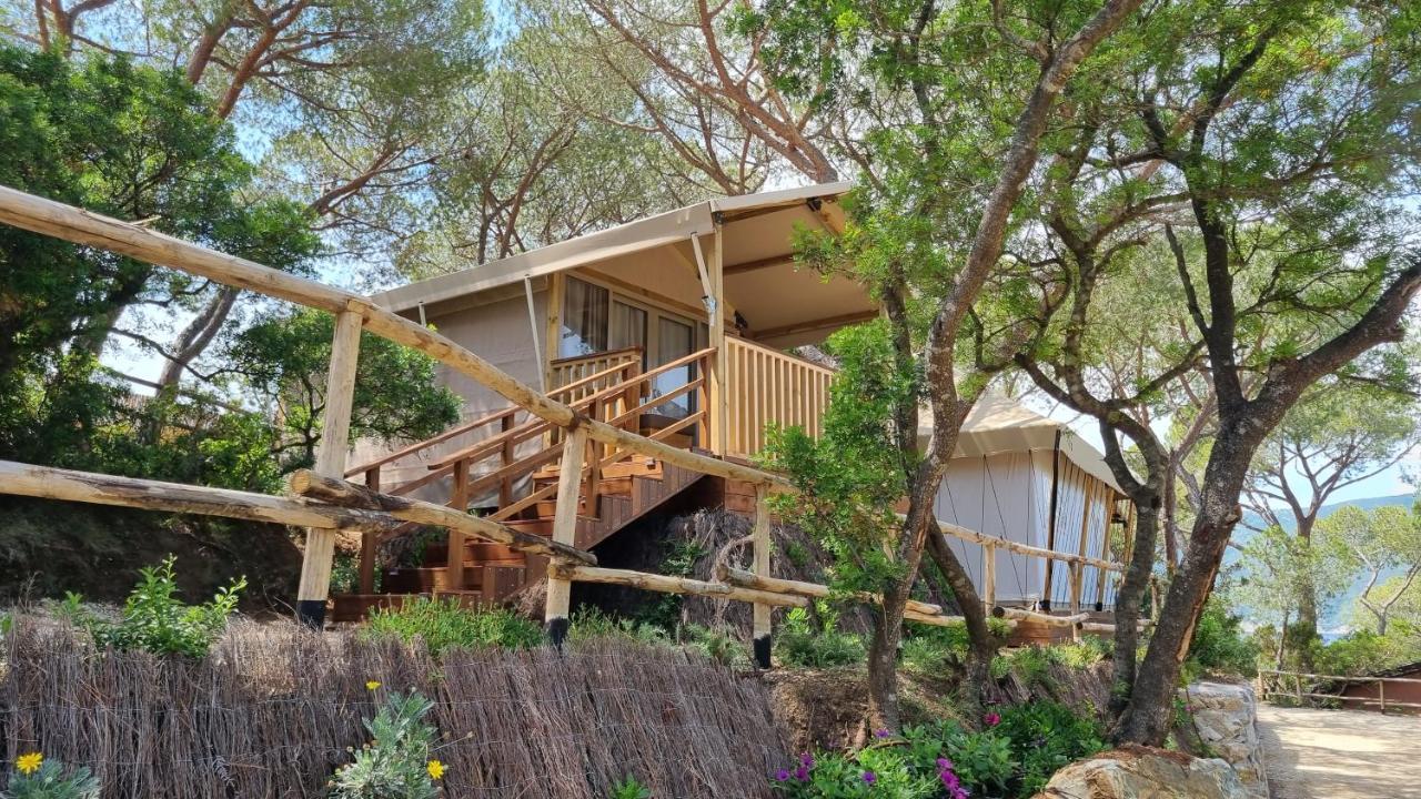 Camping Lacona Pineta Capoliveri (Isola d'Elba) Exterior foto