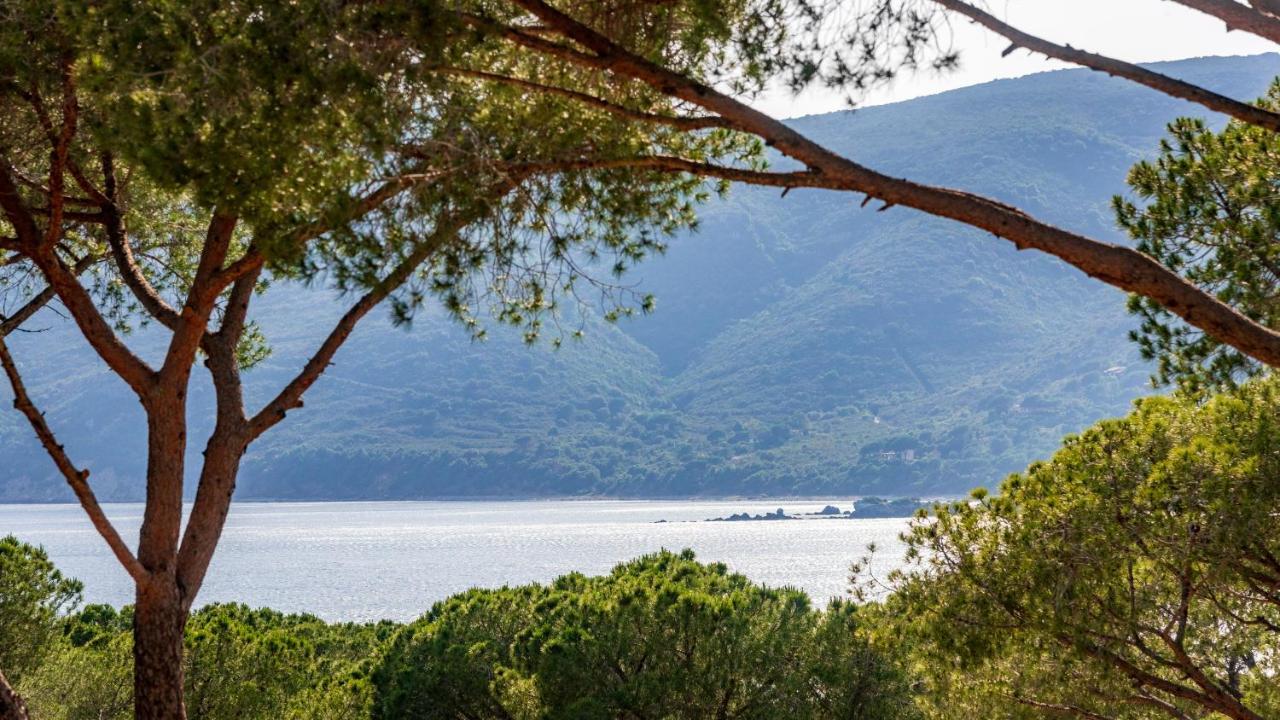 Camping Lacona Pineta Capoliveri (Isola d'Elba) Exterior foto