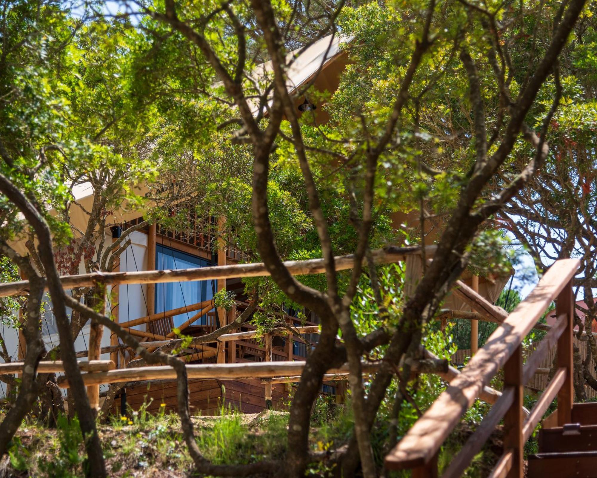 Camping Lacona Pineta Capoliveri (Isola d'Elba) Exterior foto