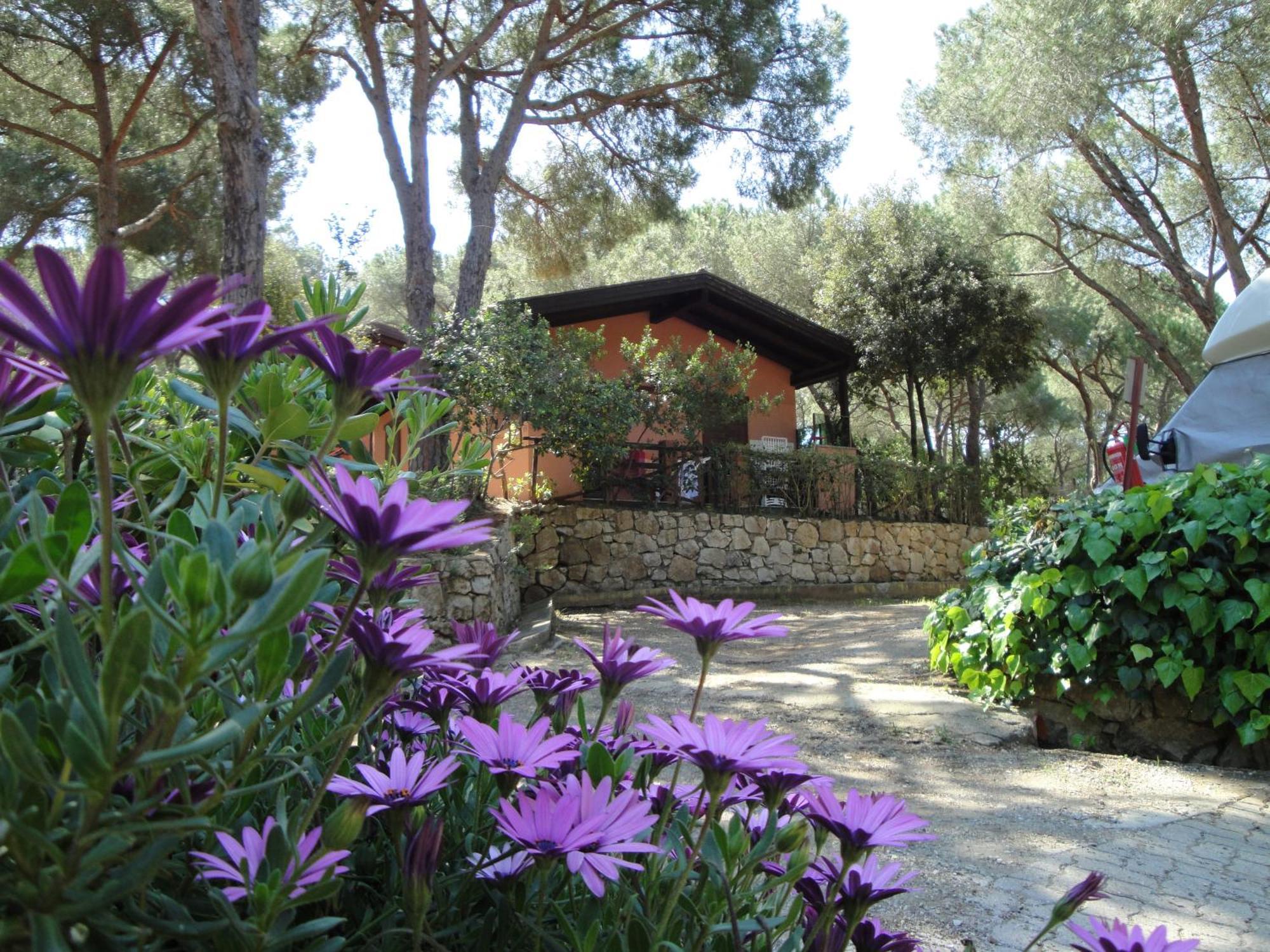 Camping Lacona Pineta Capoliveri (Isola d'Elba) Exterior foto